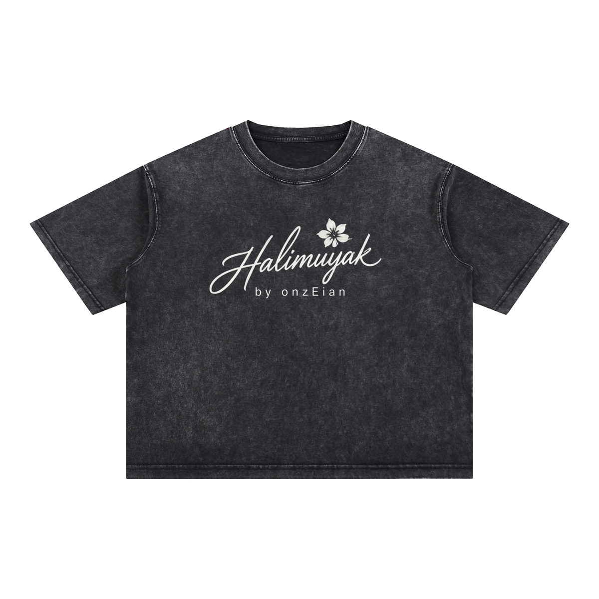 Vintage Halimuyak Wash Boxy Cotton T-Shirt